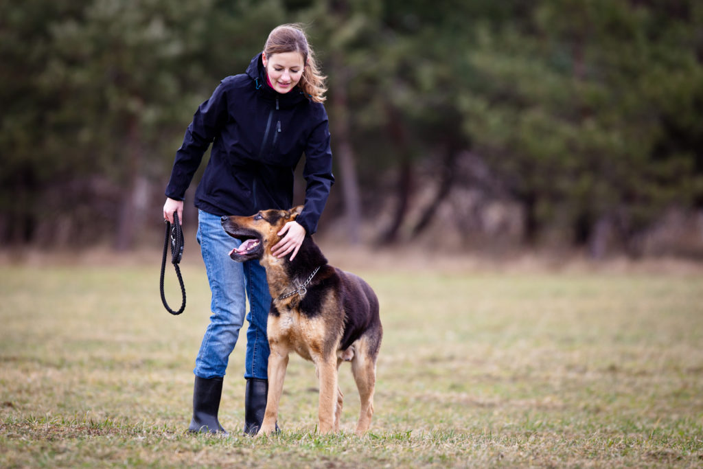 Dog Training The Canine Ranch